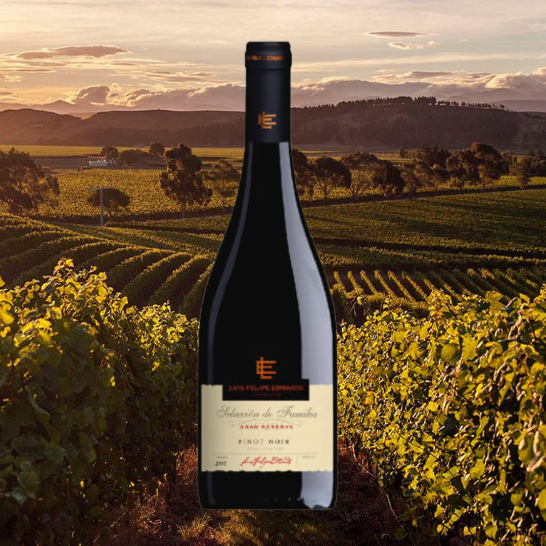 Luis Felipe Edwards Gran Reserva Pinot Noir 2016