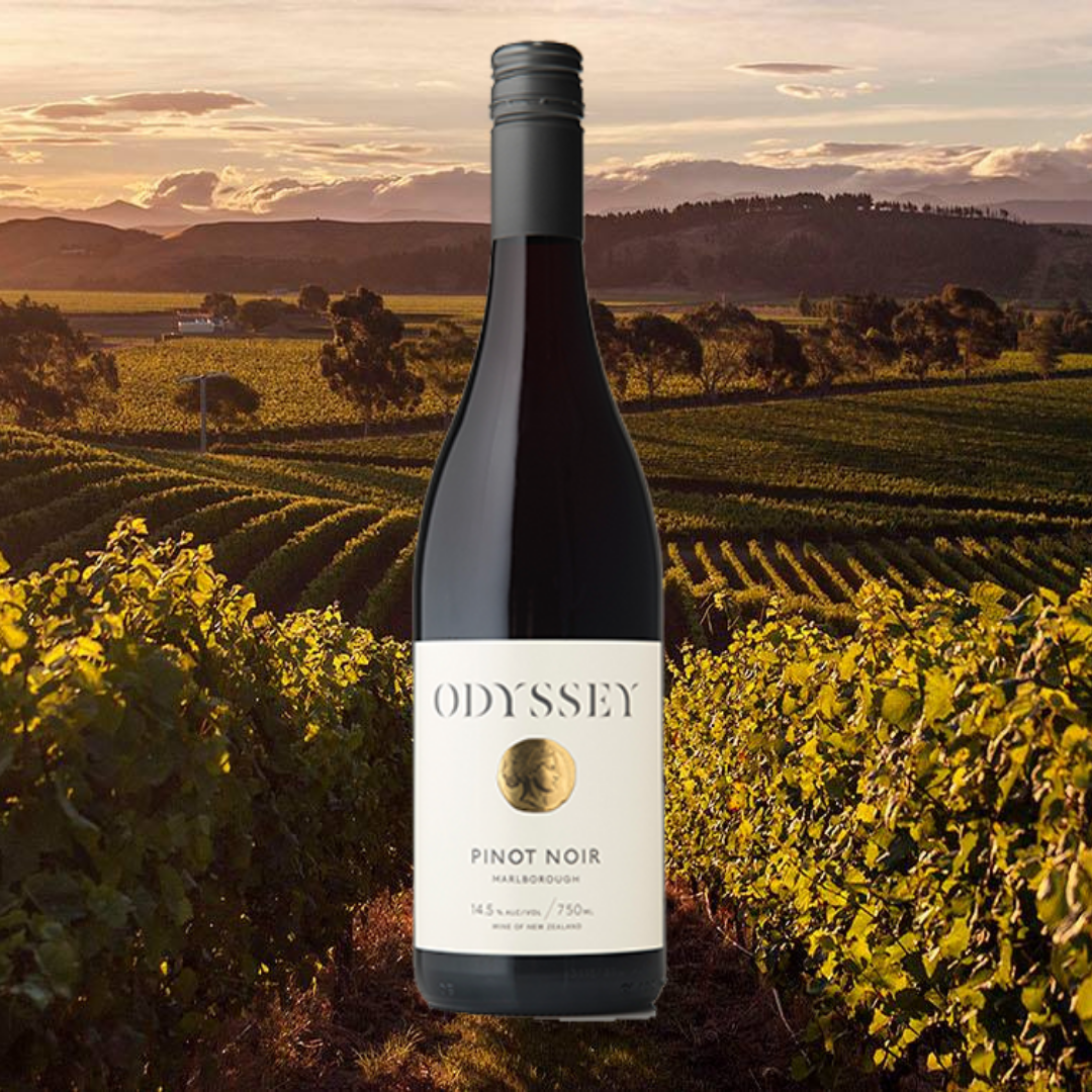 Odyssey Marlborough Pinot Noir 2016